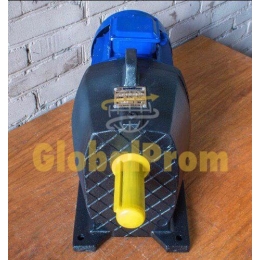 Мотор-редуктори соосно-циліндричні 1МЦ2С-100