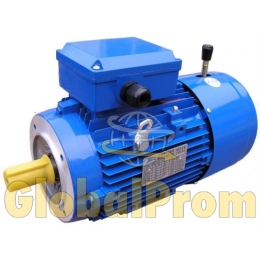 Електродвигун з електромагнітним гальмом (гальмівний двигун)